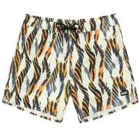 Picture - Piau 15 Printed Boardshorts - Boardshorts Gr L grau
