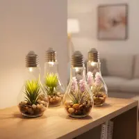 Levandeo 4er Set Sukkulenten Glühbirne Glas je B x H 8 x 19cm Deko LED Lampe Kunstpflanze