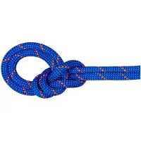Mammut 9.5 Mm Crag Dry 40 M Seil
