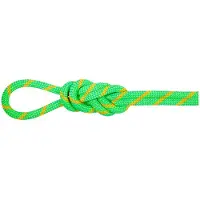 Mammut 8.0 Mm Alpine Dry 50 M Seil