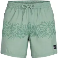 O'Neill UNI Flower 16" Swimshorts green tropical stripe (26030) XXL