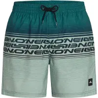 O'Neill Logo Stripe 16'' Swimshorts green heritage stripe (26034) XS