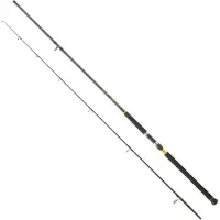 Daiwa Legalis Shore Jiggingrute