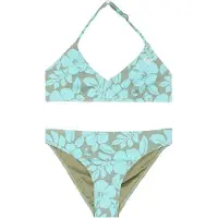 Roxy Spirit Basic Triangle Bikini