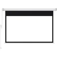 BlitzWolf - BW-VS13 100-inch - Projektionswand