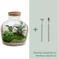 Urbanjngl Diy Terrarium - Fat Joe - ↕ 30 Cm