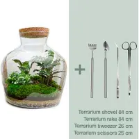 Urbanjngl Diy Terrarium - Fat Joe - ↕ 30 Cm