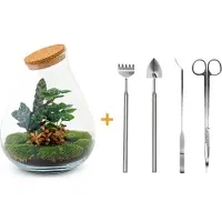 Urbanjngl Diy Terrarium - Tropfen Xl Rood - ↕ 37 Cm