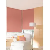 Sunlines Seitenzugrollo "One size Style uni" Gr. 7, orange (terra), B:62cm H:180cm, Kunststoff, Metall, Polyester, Rollos, Seitenzugrollo, Made in Germany
