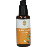 Primavera Aktivwohl Gelenkwohl Einreibung Bio 50 ml
