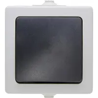 Kopp 565756004, Tasten, Schwarz, Grau, Thermoplast, IP44, 250 V, 10 A