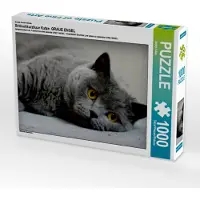 CALVENDO Britischkurzhaar Katze. Ein Motiv aus dem Kalender GRAUE ENGEL 1000 Teile Puzzle quer 640x480mm, ; 7456063