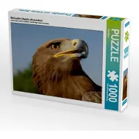 CALVENDO Steinadler (Aquila chrysaetos) 1000 Teile Puzzle quer 640x480mm, Hilger Axel; 7463627
