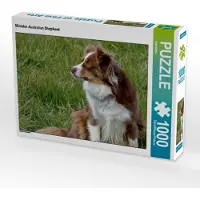 CALVENDO Miniatur Australian Shepherd 1000 Teile Puzzle quer 640x480mm, ; 7312260