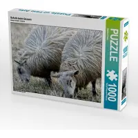 CALVENDO Schafe beim Grasen 1000 Teile Puzzle quer 640x480mm, Cross Martina; 7316186