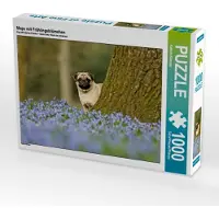 CALVENDO Mops mit Frühlingsblümchen 1000 Teile Puzzle quer 640x480mm, Köntopp Kathrin; 7403323