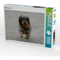 CALVENDO Dackel on Tour 1000 Teile Puzzle quer 640x480mm, ; 7315432