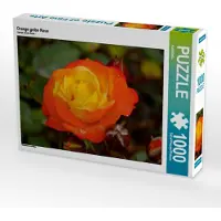 CALVENDO Orange gelbe Rose 1000 Teile Puzzle quer 640x480mm, ; 7312147