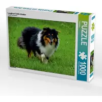 CALVENDO Langhaar Collie tricolor 1000 Teile Puzzle quer 640x480mm, ; 7315156