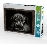 CALVENDO Tizian 1000 Teile Puzzle quer 640x480mm, Bleicher Renate; 7284106