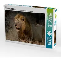 CALVENDO Ein Motiv aus dem Kalender Afrikas Tiere im Fokus 1000 Teile Puzzle quer 640x480mm, Schörkhuber Johann; 7318199