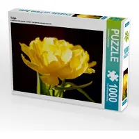 CALVENDO Tulpe 1000 Teile Puzzle quer 640x480mm, Calmbacher Christiane; 7330682