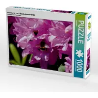 CALVENDO Hummel in rosa Rhododendron Blüte 1000 Teile Puzzle quer 640x480mm, ; 7314610