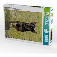 CALVENDO Rennender Mischlingshund 1000 Teile Puzzle hoch 480x640mm, Berg Martina; 7379935