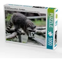 CALVENDO Ein Motiv aus dem Kalender Der kleine Räuber mit Maske - Waschbären 1000 Teile Puzzle quer 640x480mm, Klatt Arno; 7292830