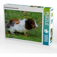 CALVENDO Rosettenmeerschweinchen Baby 1000 Teile Puzzle quer 640x480mm, ; 7304529