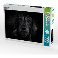 CALVENDO Rauhaar Dackel 1000 Teile Puzzle quer 640x480mm, Pinkoss Photostorys Oliver; 7293064