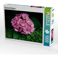 CALVENDO Hortensie mit Buchsbaum 1000 Teile Puzzle quer 640x480mm, N N; 7306855