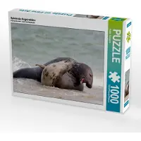 CALVENDO Spielende Kegelrobben 1000 Teile Puzzle quer 640x480mm, Streiparth Katrin; 7430036