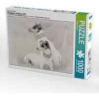 CALVENDO Ein Motiv aus dem Kalender Bodeguero Andaluz 2017 1000 Teile Puzzle quer 640x480mm, Redecker Andrea; 7367295