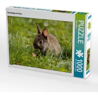 CALVENDO Hasenbaby im Gras 1000 Teile Puzzle quer 640x480mm, Hultsch Heike; 7287672