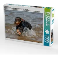 CALVENDO Ein Motiv aus dem Kalender Liebenswerte Rabauken Rauhaardackel / CH-Version 1000 Teile Puzzle quer 640x480mm, Mielewczyk Barbara; 7322098