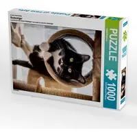 CALVENDO Ein Motiv aus dem Kalender Stubentiger 1000 Teile Puzzle hoch 480x640mm, Wagener Harald; 7382890