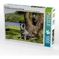 CALVENDO Ein Motiv aus dem Kalender Spaziergang am See Australian Cattle Dogs 1000 Teile Puzzle quer 640x480mm, Verena Scholze Fotodesign; 7371600