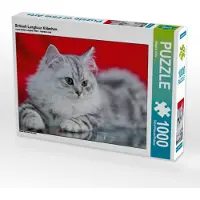 CALVENDO Britisch Langhaar Kätzchen 1000 Teile Puzzle quer 640x480mm, Viola Melanie; 7305749