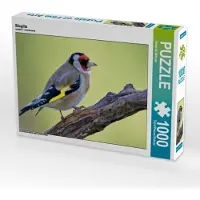 CALVENDO Stieglitz 1000 Teile Puzzle quer 640x480mm, Wilczek Dieter-M.; 7319133