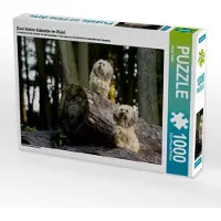 CALVENDO Zwei kleine Kobolde im Wald. 1000 Teile Puzzle quer 640x480mm, Teßen Sonja; 7455171