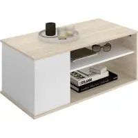 Dmora Fargo - Couchtisch, Weiß, 50x100x42h cm, 3 Fächer