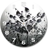 Tulup Wanduhr aus Glas 30fi Glasbild Glasuhr Gehärtetes Glas - weisse-zeiger - Dandelion seeds
