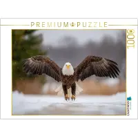 CALVENDO Puzzle Weißkopfseeadler im Flug über verschneiter Landschaft | 1000 Teile Lege-Größe 64 × 48 cm Foto-Puzzle für glückliche Stunden