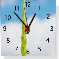 Wallario Design Wanduhr Marienkäfer am Korn aus Aluverbund, Größe 30 x 30 cm