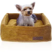DOTTY Hundesofa CUBE Hundebett Hundekissen Tierbett Katzenbett Hundekorb Schlafplatz Größe S (42 x 42 cm)
