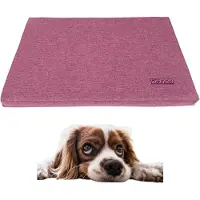 DOTTY Hundematte S 60x40 cm Rosa / Pink – bequemes Hundebett für kleine Hunde, Auto & Hundebox, wasserabweisend, robust & waschbar