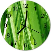 Tulup Glasuhr Wanduhr Küchenuhr Echt-Glas 30fi cm Gras Tau grün