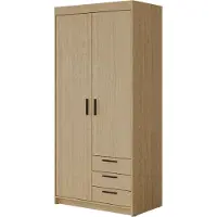 Mirjan 24 Kleiderschrank Elena 2D3S, Drehtürenschrank, Garderobe mit zwei Drehtüren und drei Schubladen, Kleiderstange (Farbe: Geölte Eiche)