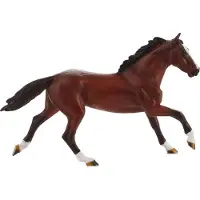 MOJO Vollblut